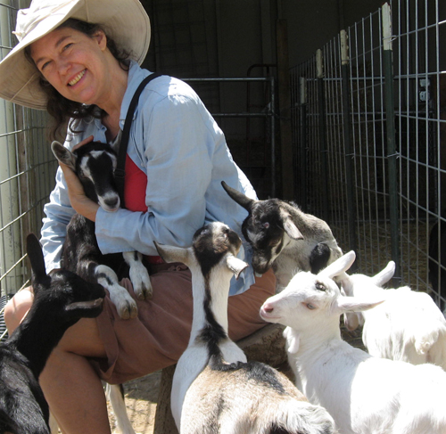 Auntie Stacey bonds with the goats