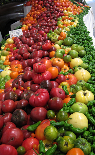 Tomatoes at the National Heirloom Expo