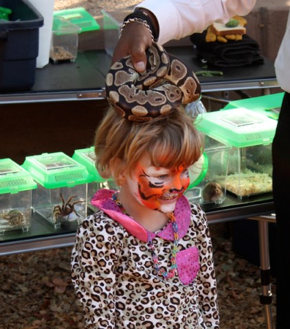 Snake at Tracy Hill's animal show, photo by Stacey Dennick