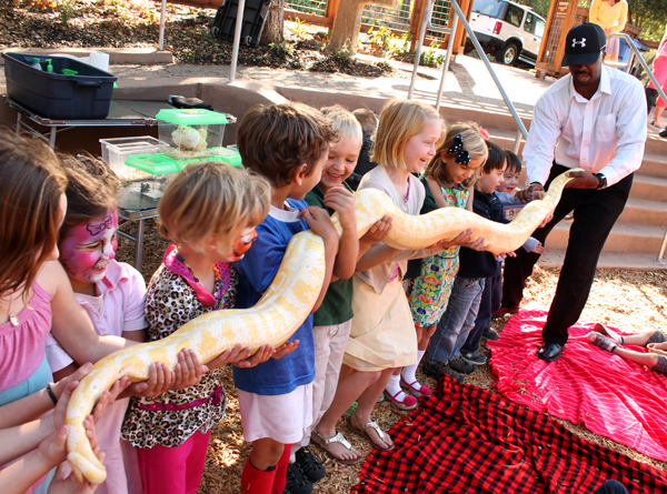 Snake at Tracy Hill's animal show, photo by Stacey Dennick