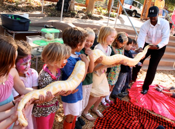 Snake at Tracy Hill's animal show, photo by Stacey Dennick