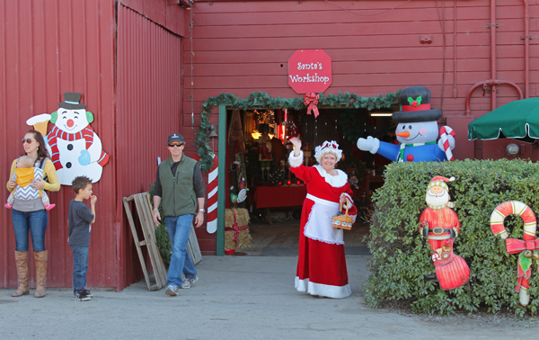 Mrs Claus at Frosty Moutain Tree Farm