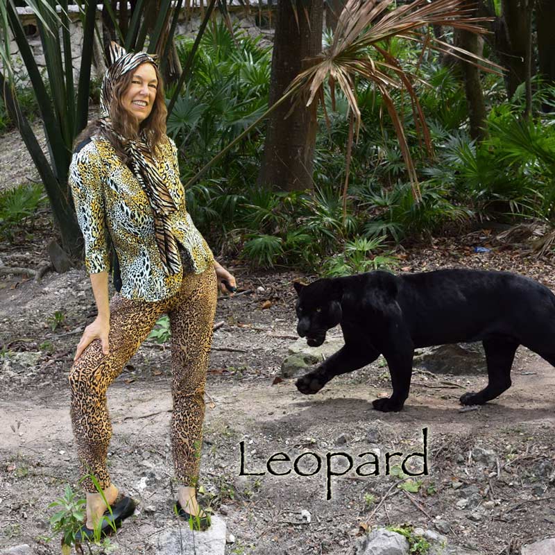 Auntie Stacey's Face painting, Santa Rosa, SF Bay area, balloons, children's entertainment